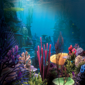 Aquarium Live Wallpaper, dale vida a tu Android